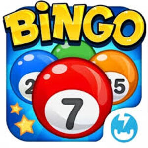 Image of Bingo